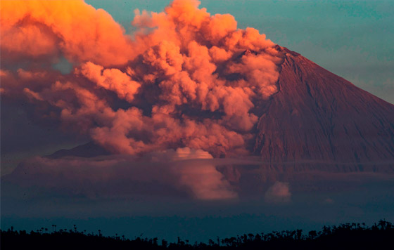 Фотохроника 15 июня