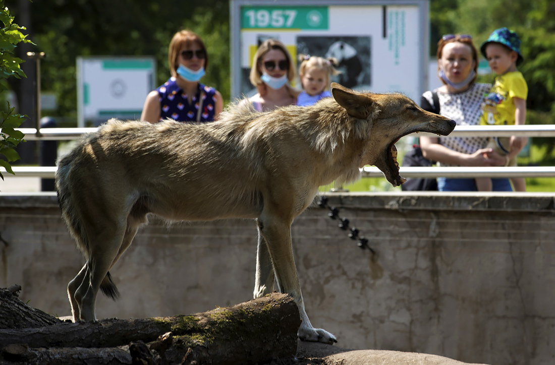 Московский зоопарк открыл свои двери для посетителей после трехмесячного карантина