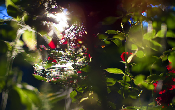 Фотохроника 22 июня