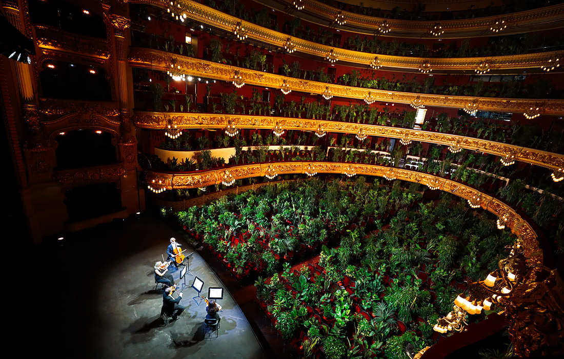 Концерт для комнатных растений в оперном театре "Лисео" в Барселоне