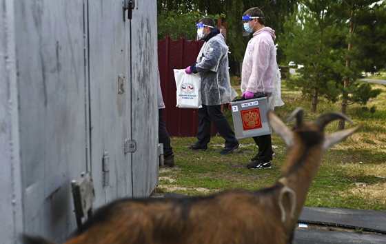 Голосование по поправкам в Конституцию РФ