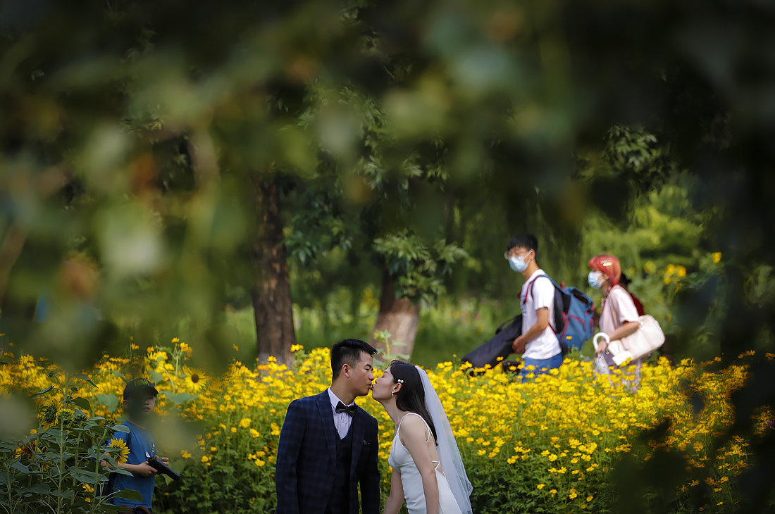 В Олимпийском парке Пекина начался сезон цветения подсолнухов