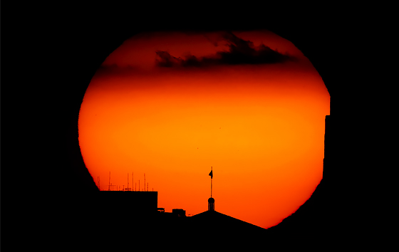 Лучшие фото недели