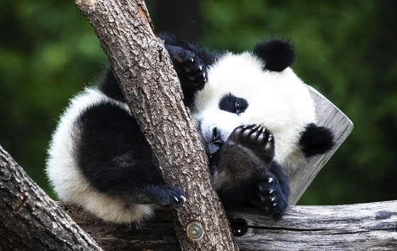 Фотохроника 8 июля