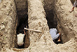 9 июля. В Йемен прибыла гуманитарная помощь со средствами защиты и медикаментами от ЮНИСЕФ, для оказания помощи в борьбе с распространением COVID-19 в разрушенной стране. На фото: кладбище в Таизе, где похоронены жертвы коронавирусной болезни.