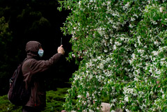 Белоруссия отменила требование о 14-дневном карантине для прибывающих в страну россиян