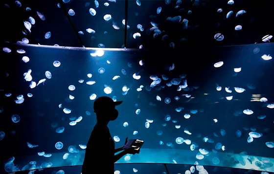 Лучшие фото недели