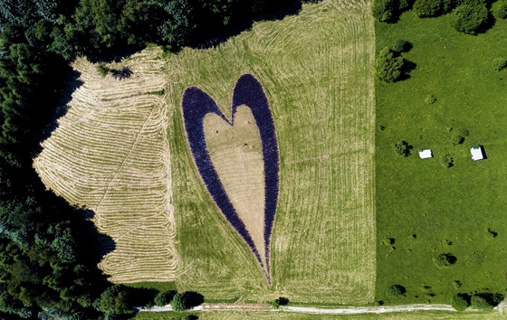 Фотохроника 16 июля