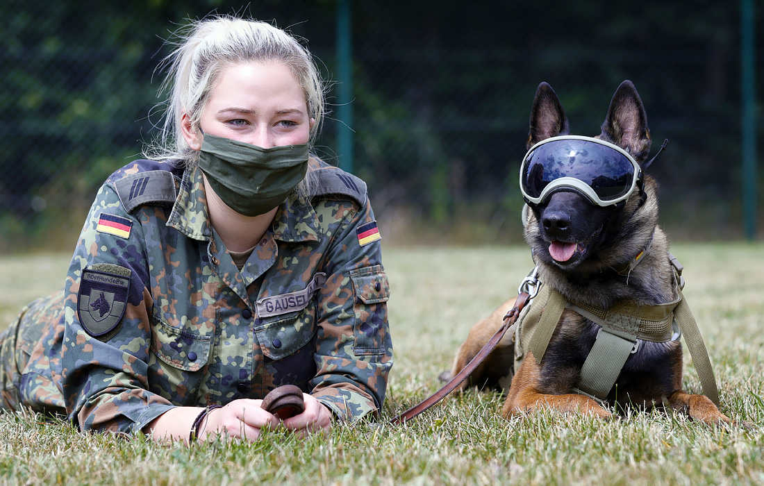 В немецкой школе по подготовке служебных собак бундесвера в Ульмене животных начали обучать выявлению больных коронавирусом
