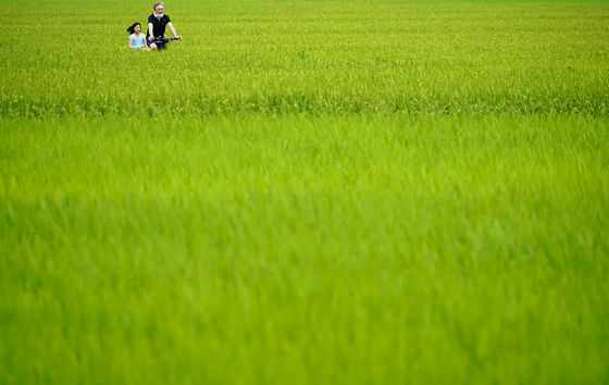 Фотохроника 24 июля