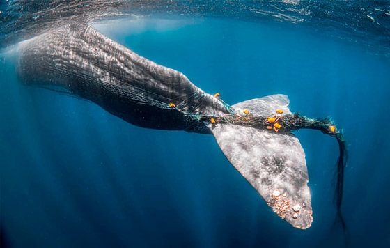 Лучшие фото недели