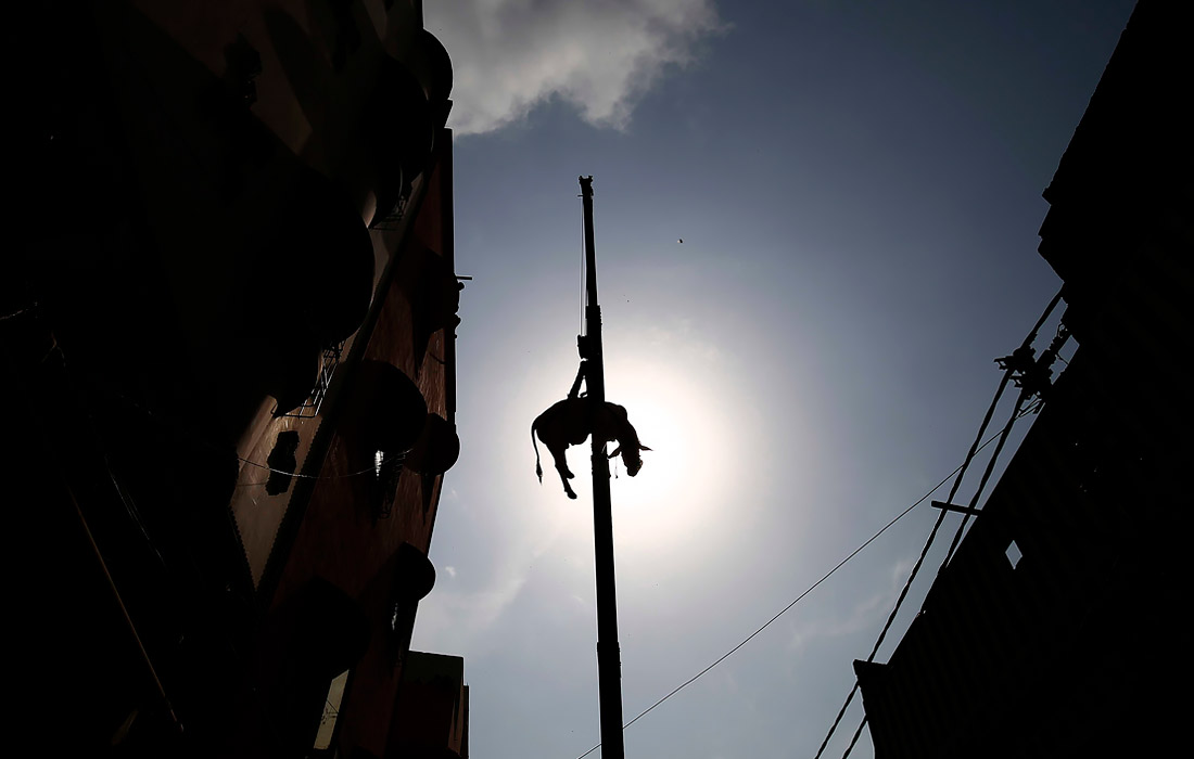 В Пакистане готовятся к празднованию мусульманского праздника жертвоприношения Курбан-байрам