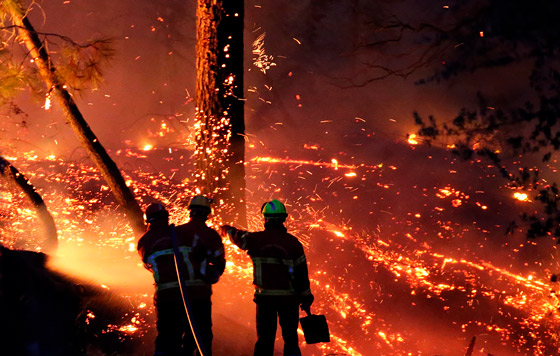 Фотохроника 31 июля