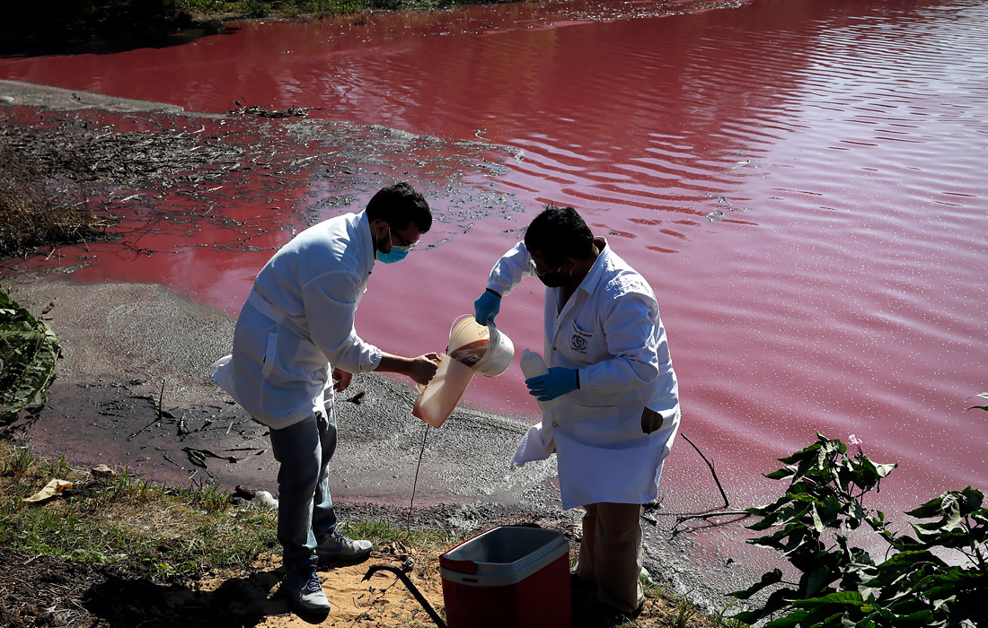 Лагуна Серро в Парагвае стала розового цвета из-за загрязнения тяжелыми металлами