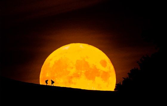 Лучшие фото недели