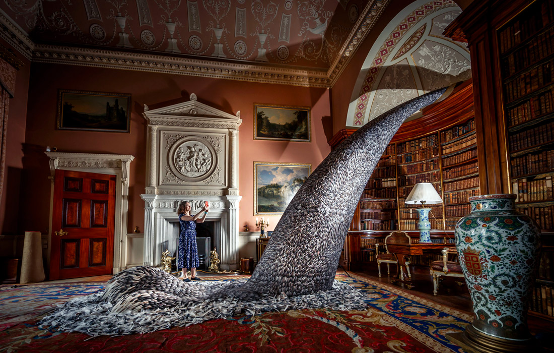 Работа скульптора Кейт Маккгваер из 10 тысяч голубиных перьев в главной библиотеке Харвуд-хаус в Лидсе, Великобритания