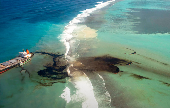 Экологическая катастрофа у берегов Маврикия