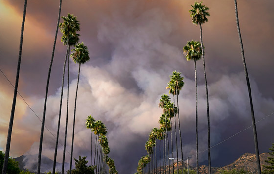 Фотохроника 14 августа