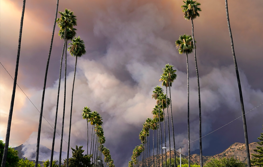 Лесные пожары бушуют в окрестностях калифорнийского города Азуса