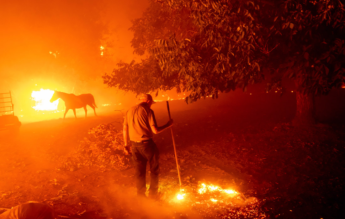 В Калифорнии объявили режим ЧС из-за лесных пожаров