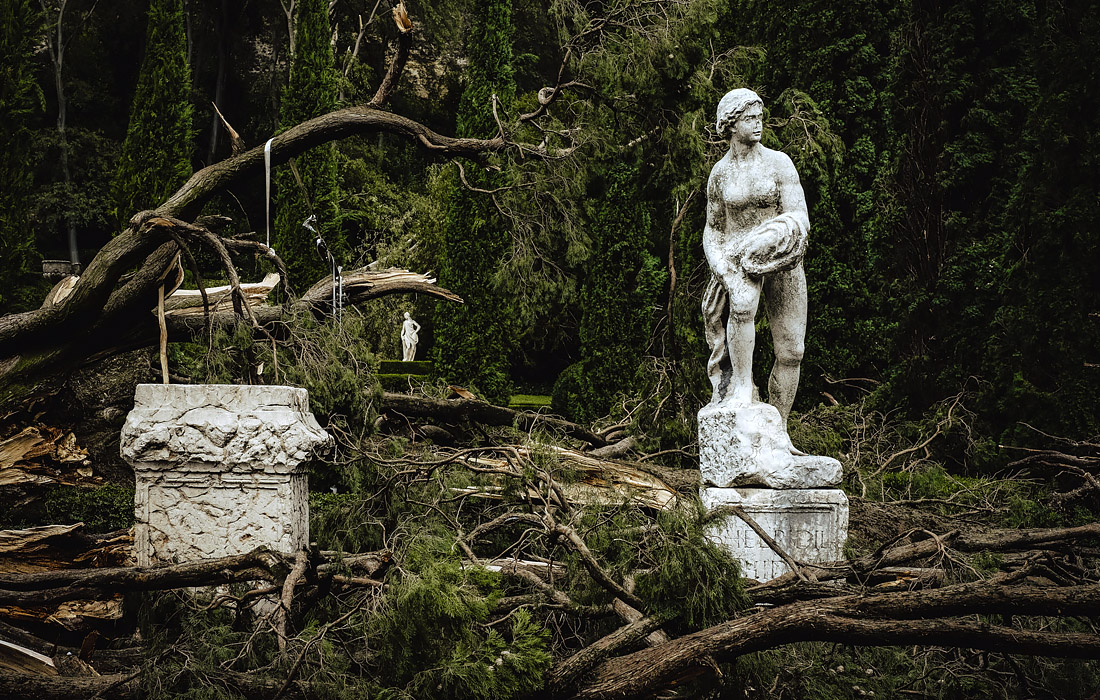Губернатор области Венето Лука Дзайа объявил чрезвычайное положение после того, как вечером на город Верона обрушился шторм с градом. Были повалены более 500 деревьев.