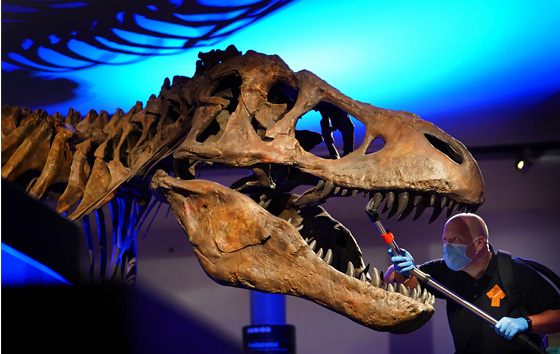 Фотохроника 26 августа