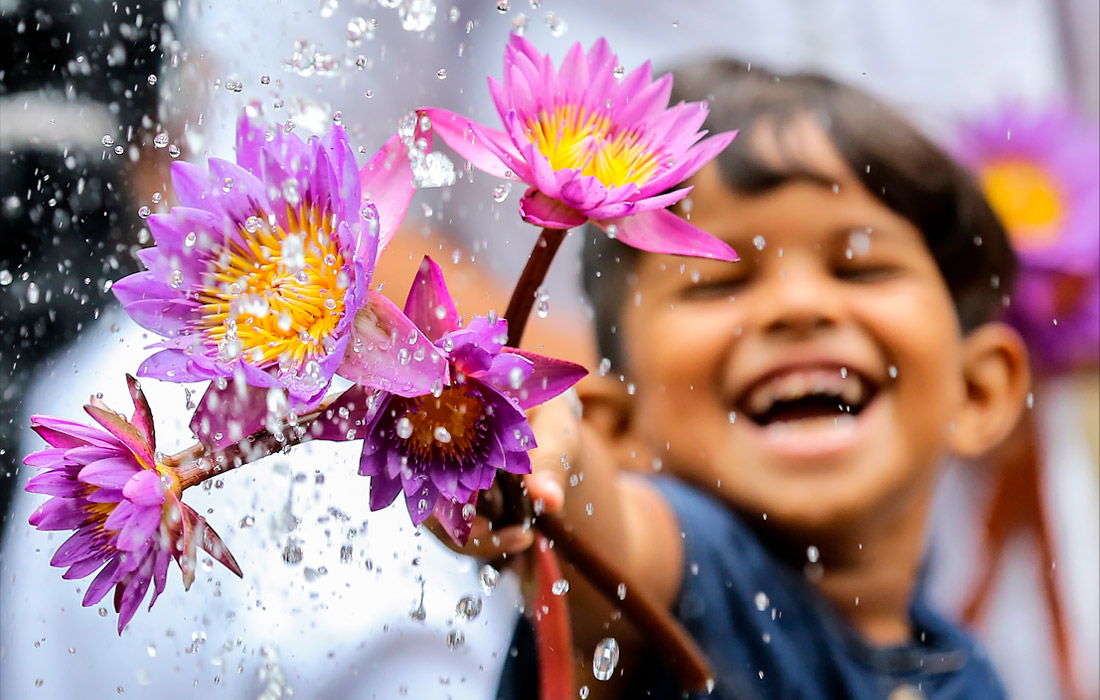 Юный житель Коломбо с цветами лотоса, Шри-Ланка