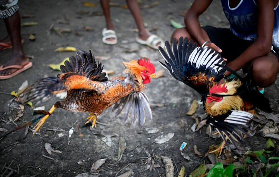 Фотохроника 7 сентября