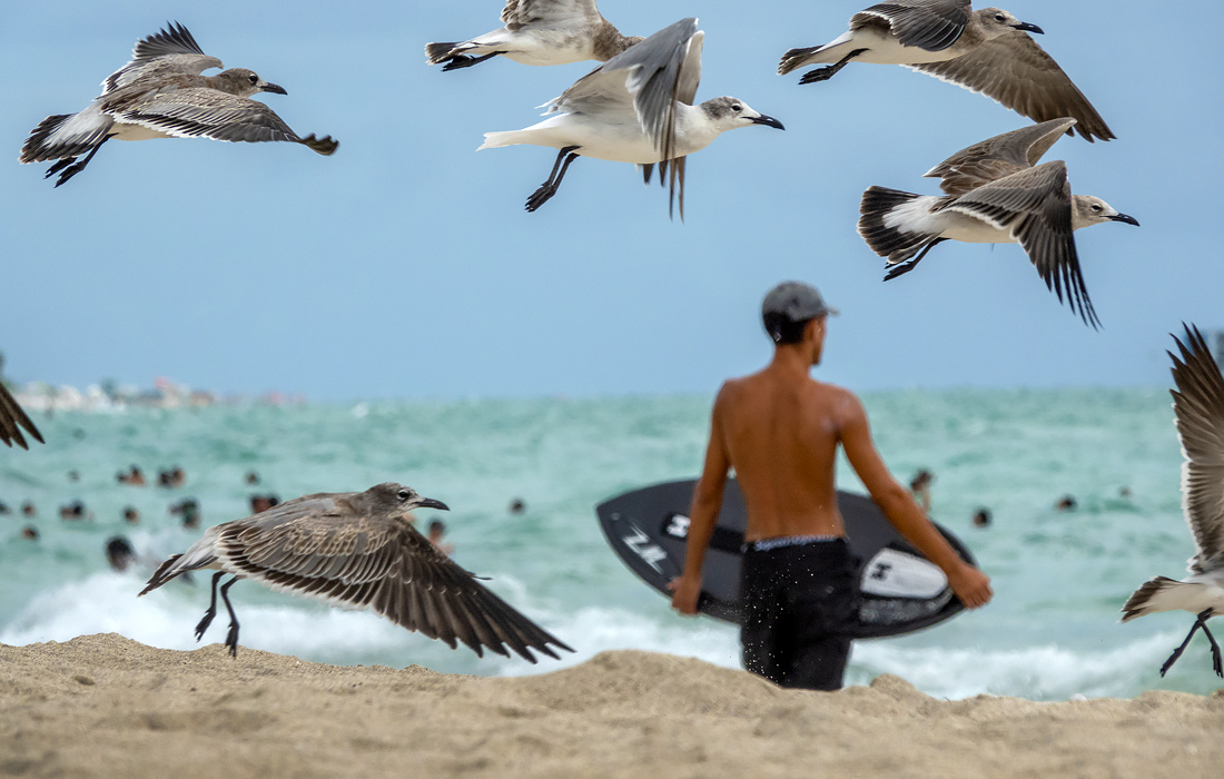 Серфингист на пляже в Майами-Бич, Флорида