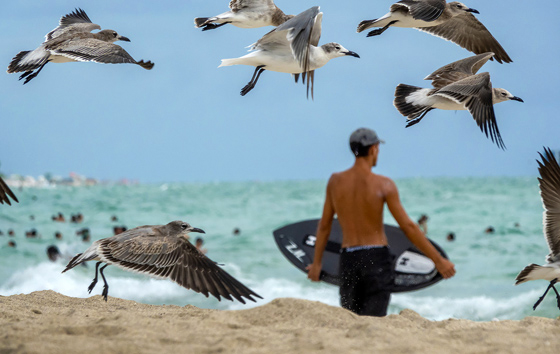 Лучшие фото недели