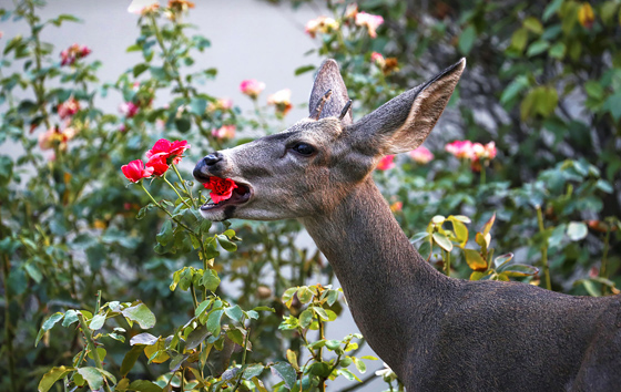 Фотохроника 14 сентября