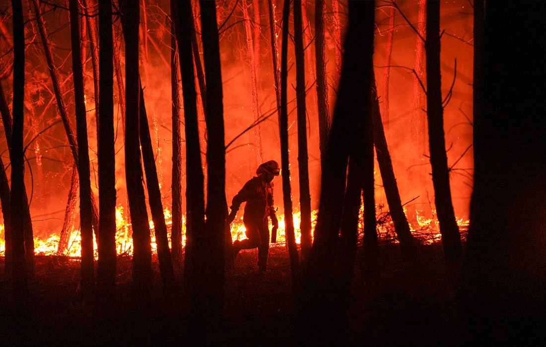 Более тысячи пожарных принимают участие в тушении лесных пожаров в центральной части Португалии