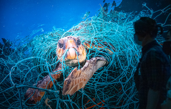 "Планета или пластик?"