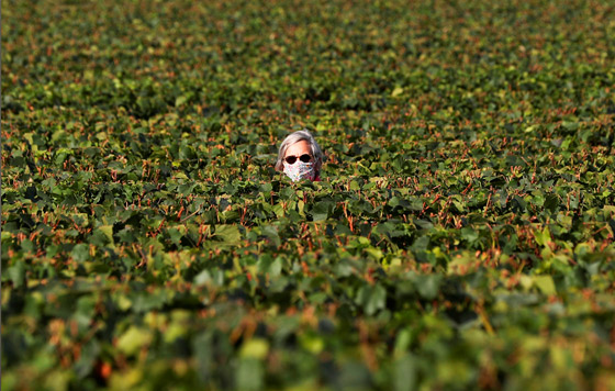 Фотохроника 17 сентября