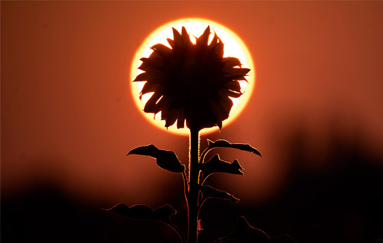 Фотохроника 18 сентября