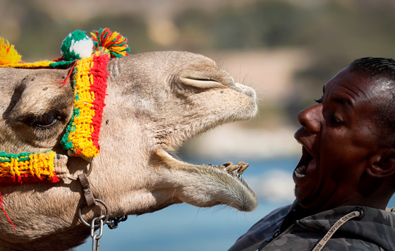 Лучшие фото недели