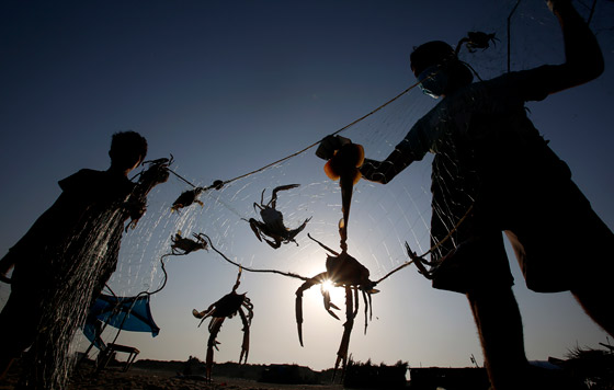 Фотохроника 21 сентября