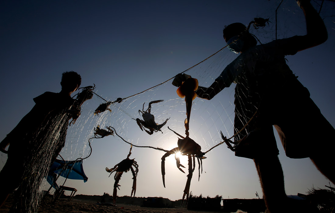 Жители города Бейт-Лахия на севере сектора Газа ловят крабов в Средиземном море