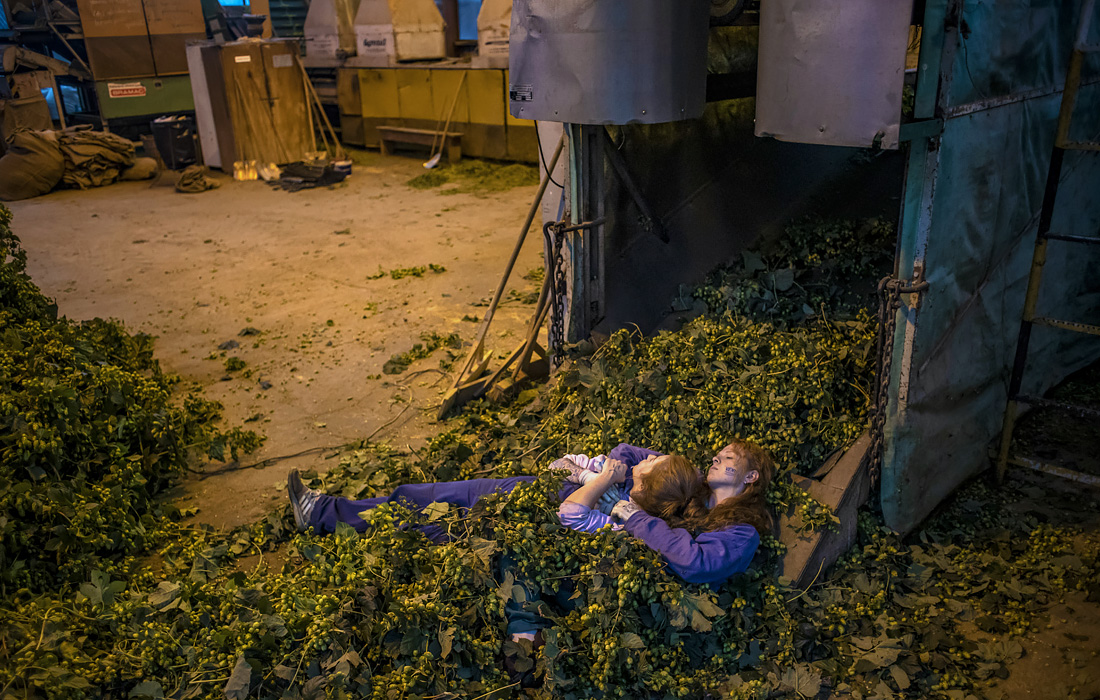 Чешская пивная промышленность серьезно пострадала из-за закрытия баров и ресторанов в период пандемии короновируса. На фото: рабочие отдыхают во время сортировки хмеля в деревне Роков.