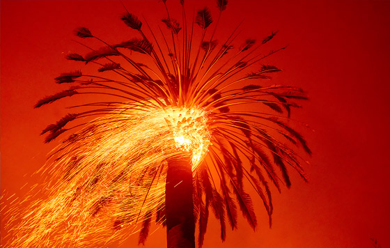 Лучшие фото недели