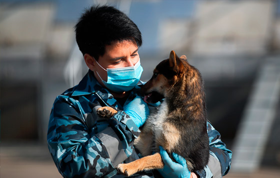 Хроника коронавируса. Сентябрь.