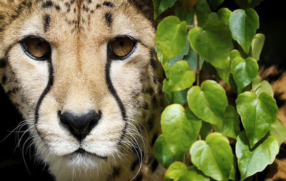 Фотохроника 2 октября