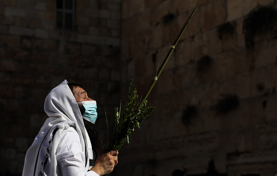Ультраортодоксальные евреи в Иерусалиме празднуют Суккот