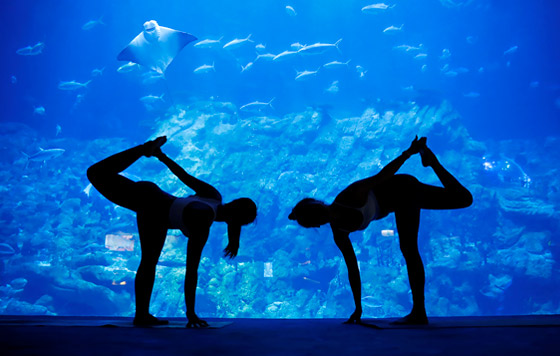 Фотохроника 8 октября