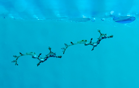 Лучшие фото недели