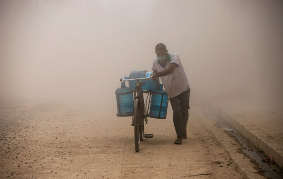 Фотохроника 12 октября