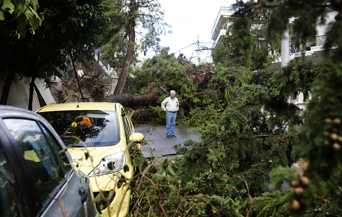 Ливень нанес серьезный ущерб нескольким муниципалитетам греческой Аттики, вырвав с корнями деревья и уничтожив имущество