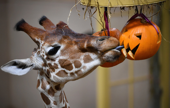 Лучшие фото недели