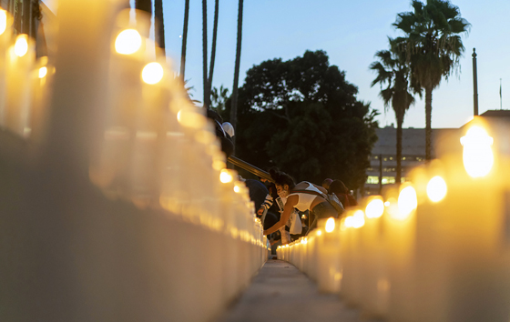 Фотохроника 23 октября