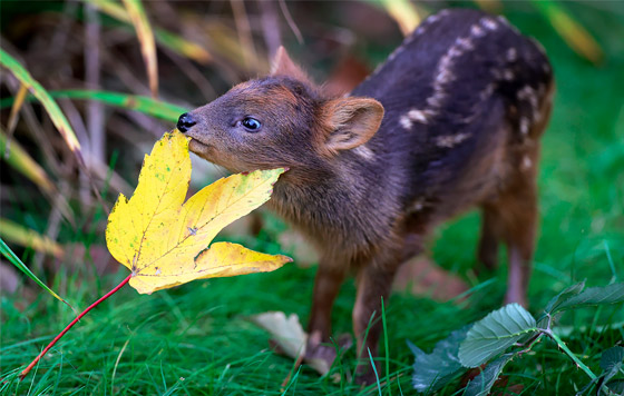 Фотохроника 1 октября
